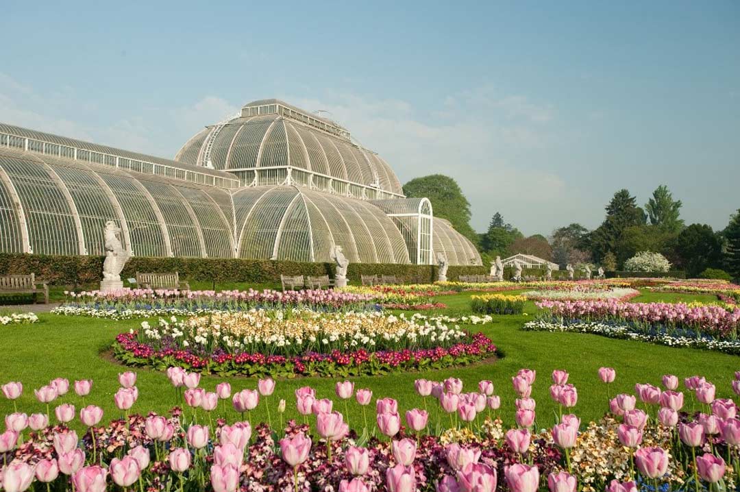 Flowers are in full bloom at the majestic Royal Botanic Gardens, Kew