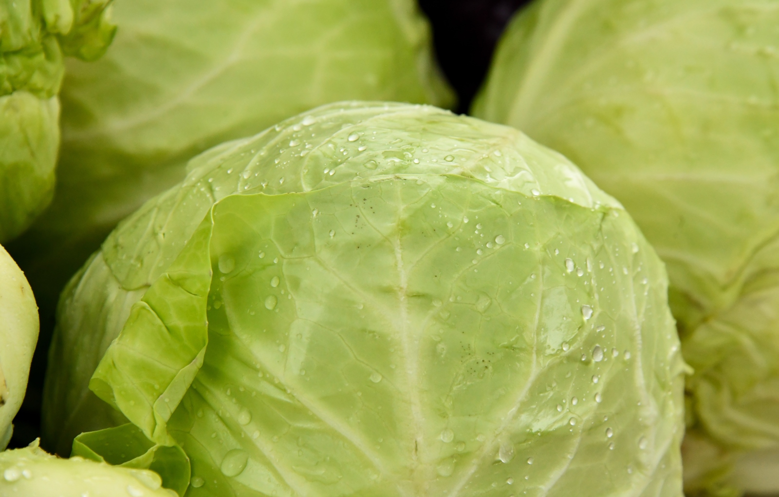 How to Support Your Liver Health Through Food Cabbage