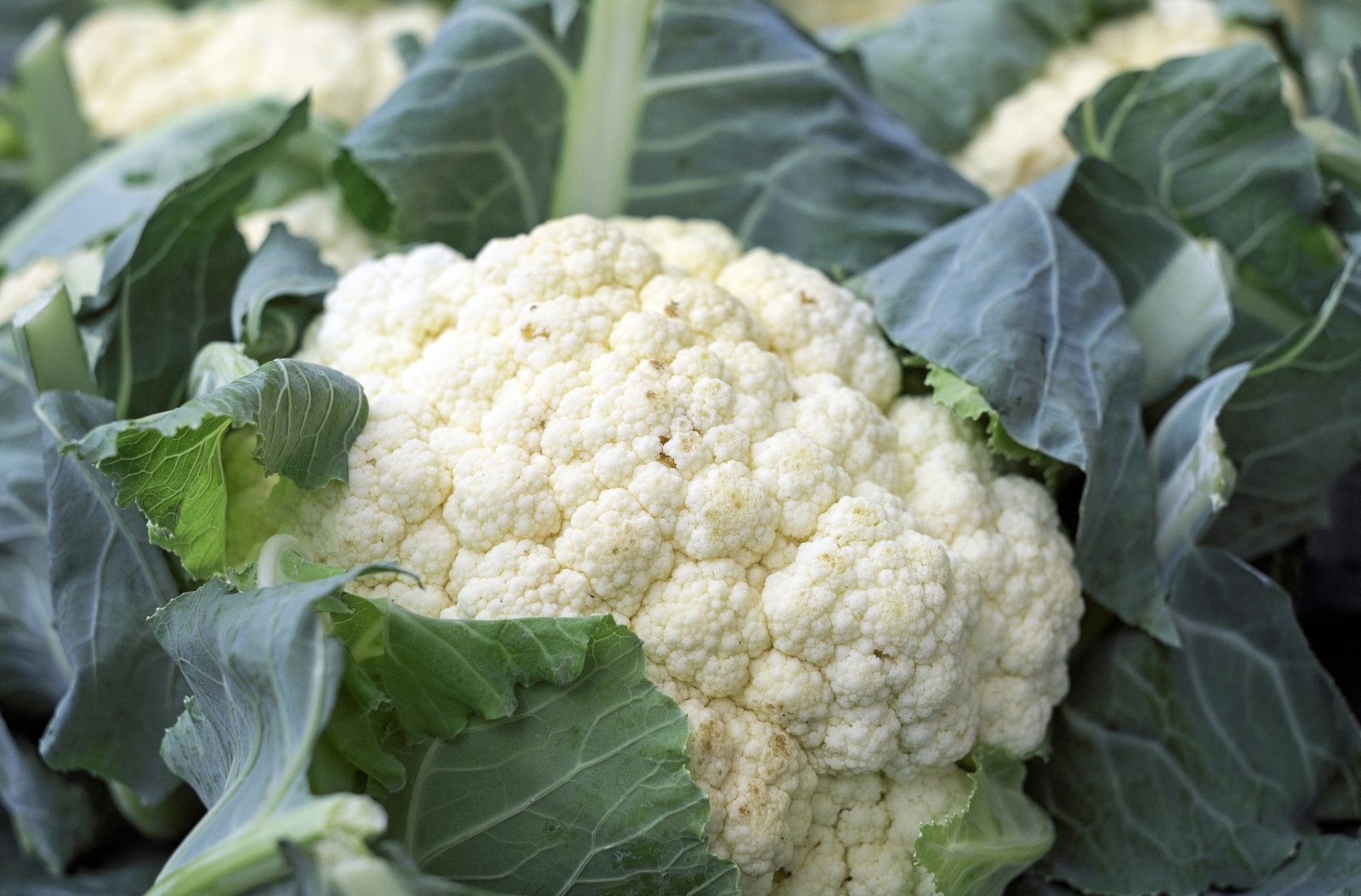 How to Support Your Liver Health Through Food Cauliflower