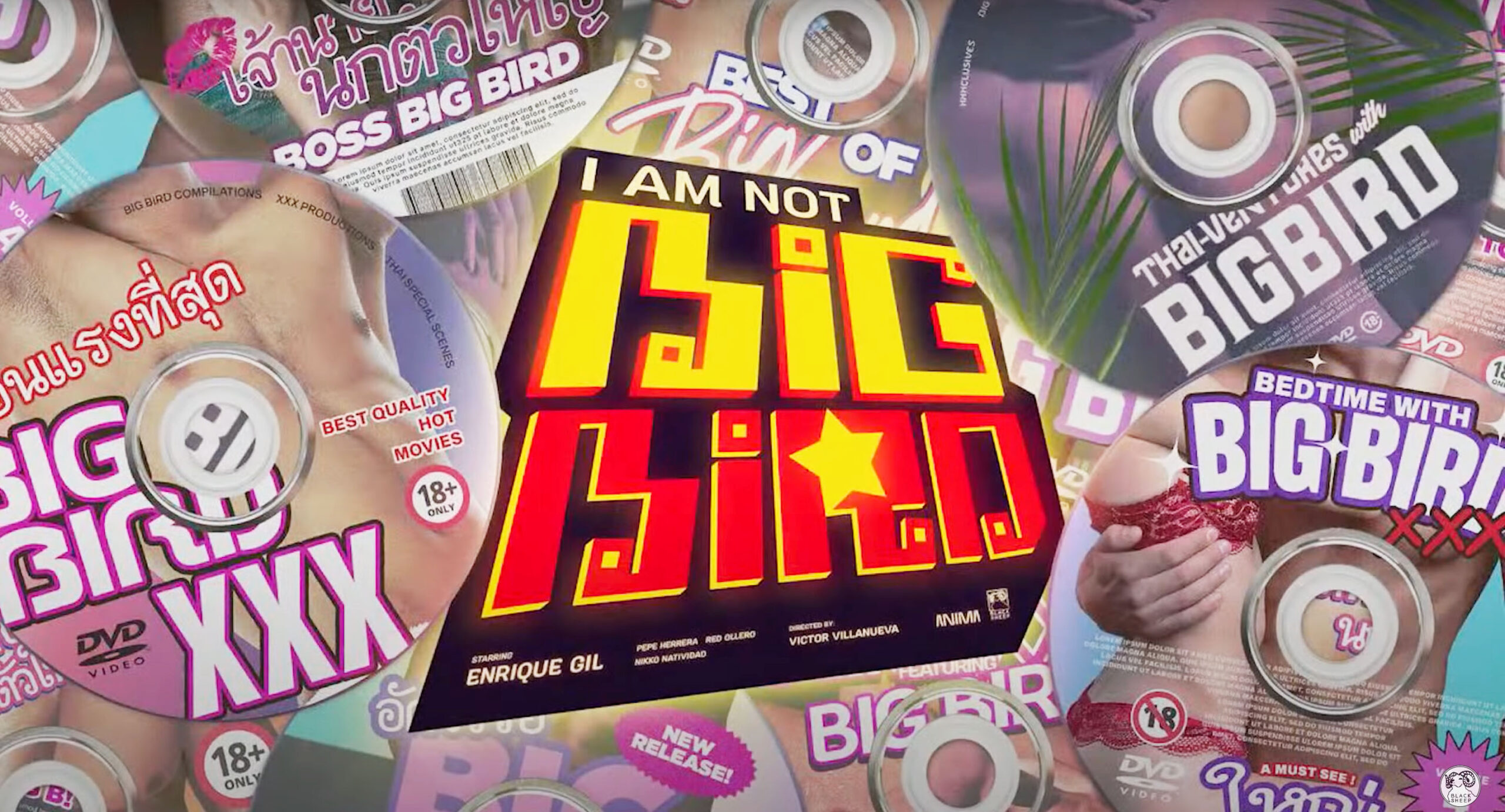 I Am Not Big Bird key art