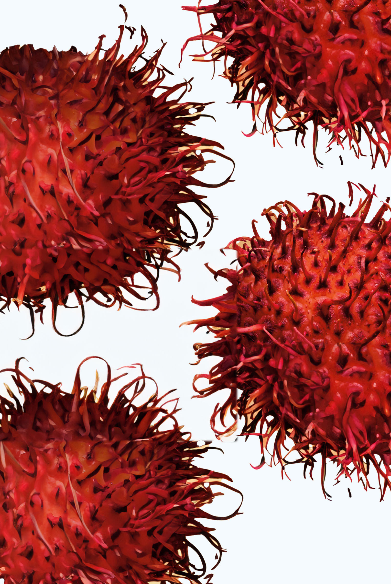 Rambutan as a natural alternative to retinol