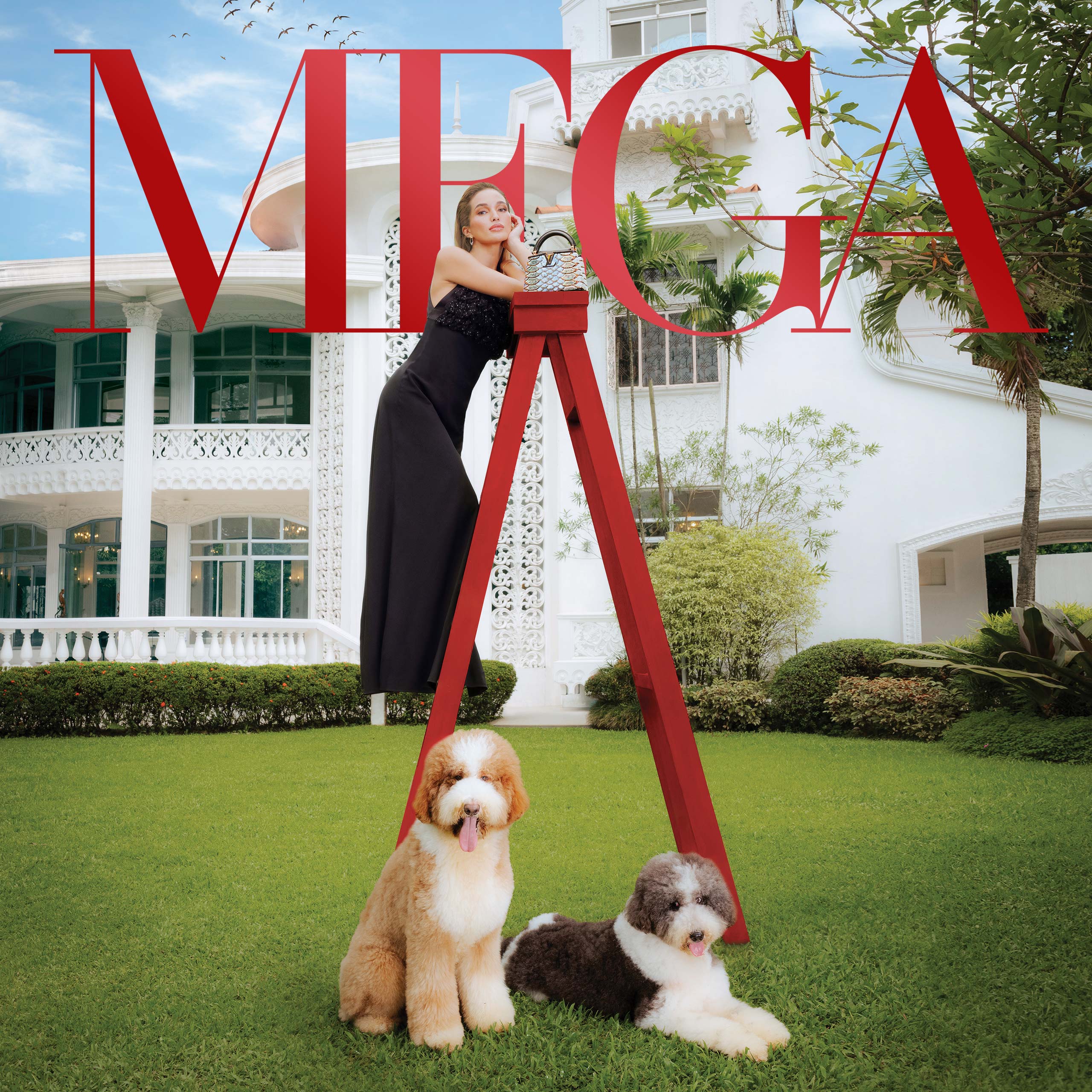 Mega Magazine_Online, Loja Online