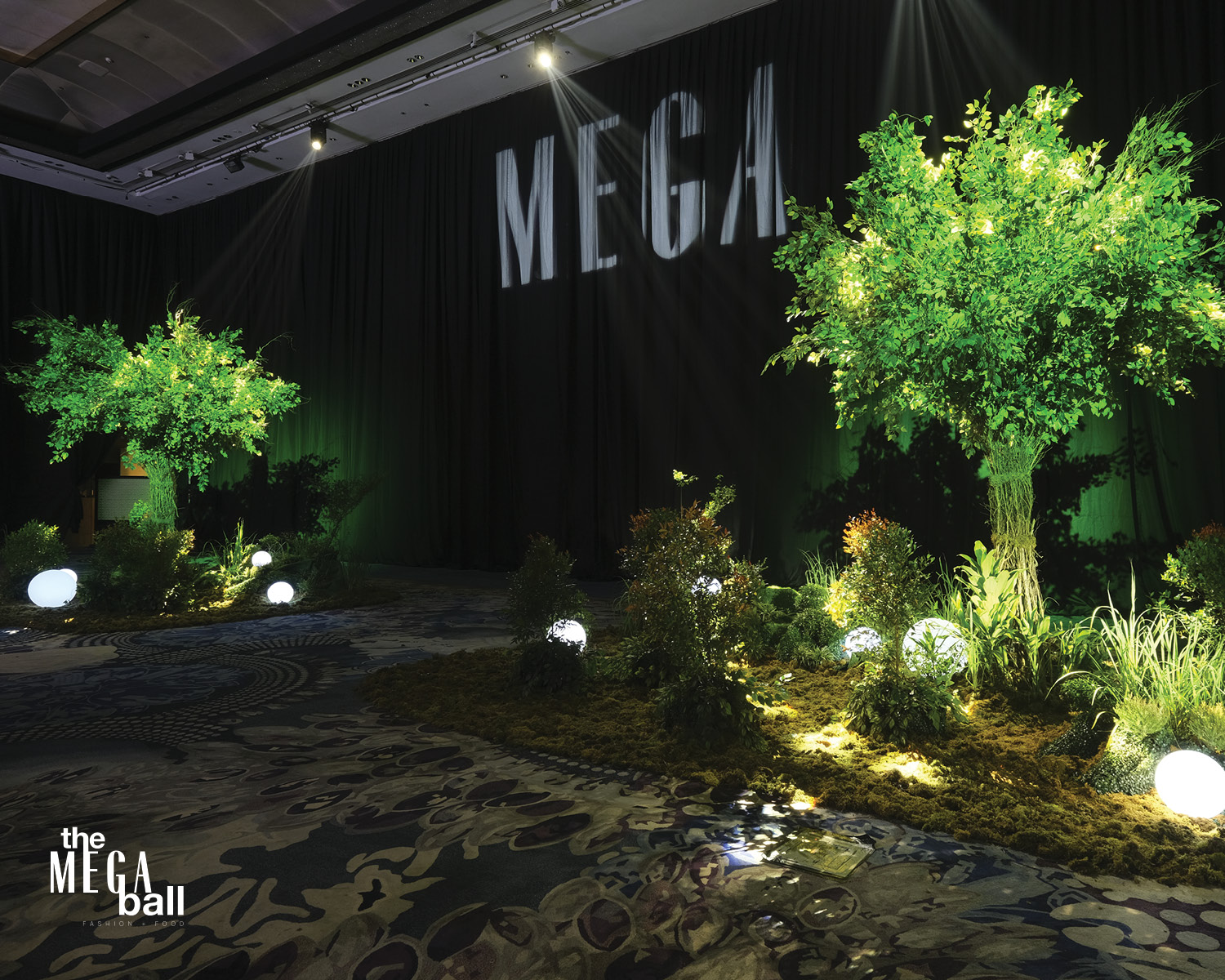 MEGA Ball 2024 Indoor Oasis