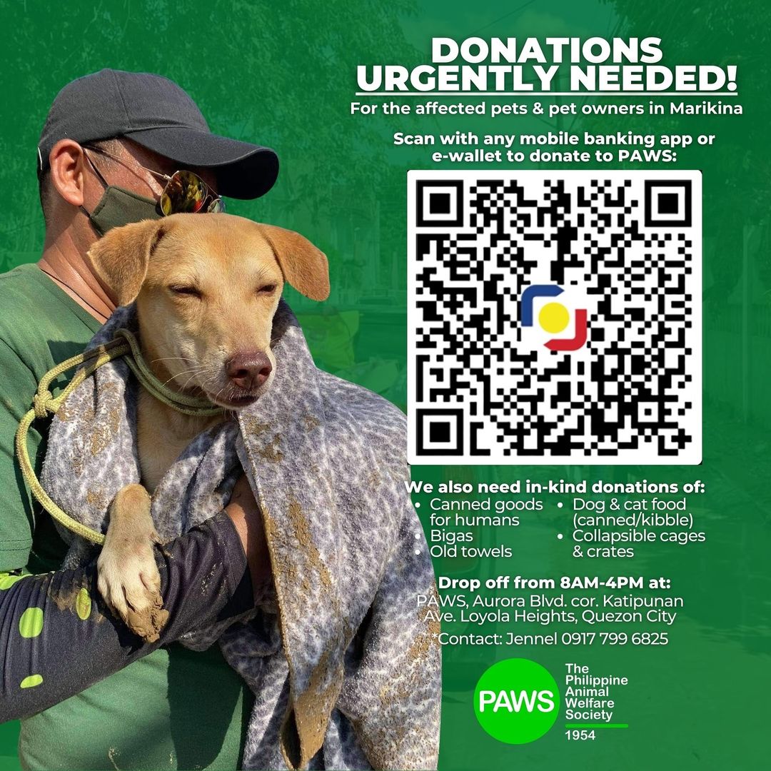 PAWS Typhoon Carina Donations