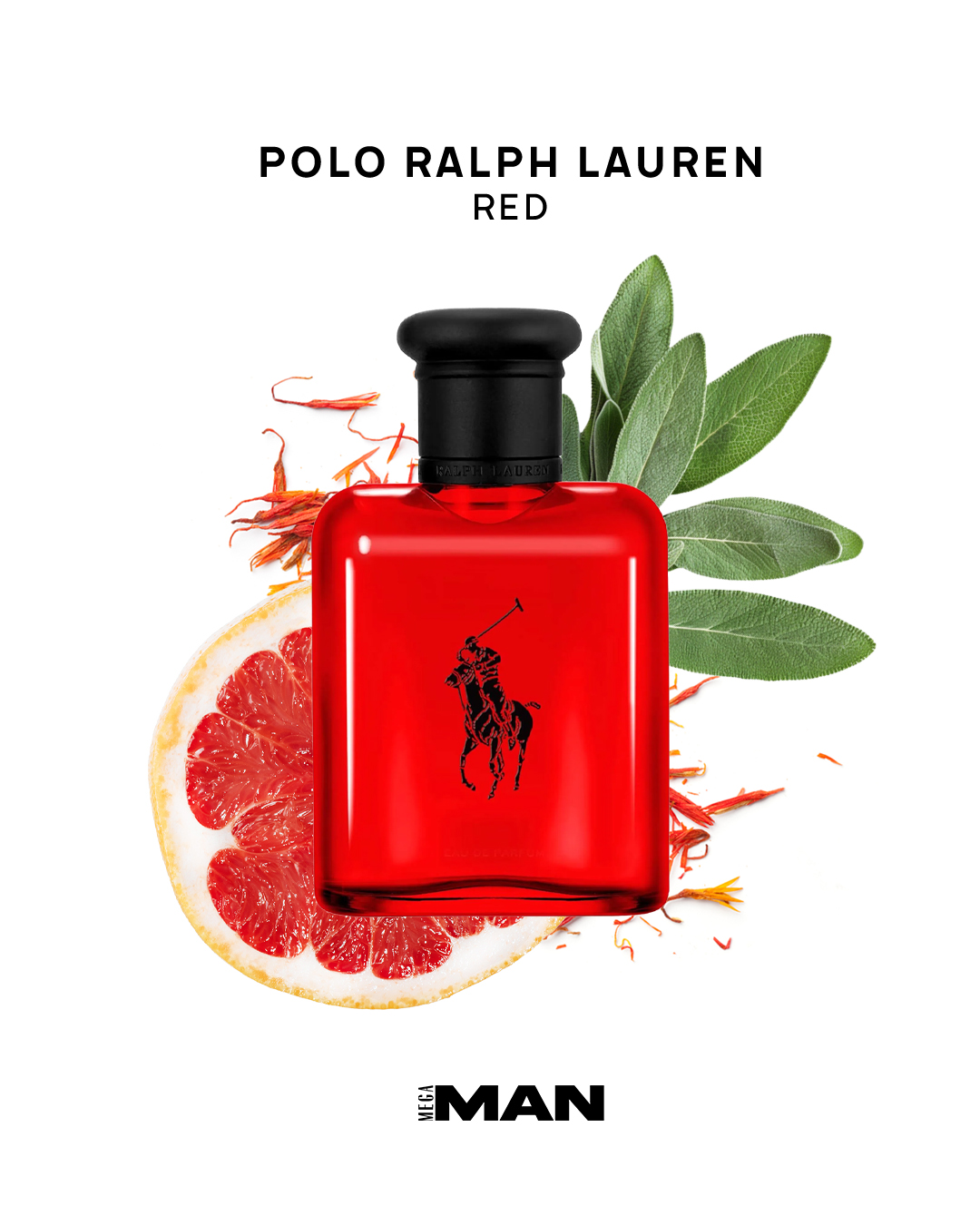 Holiday Gift Guide Polo Ralph Lauren Red