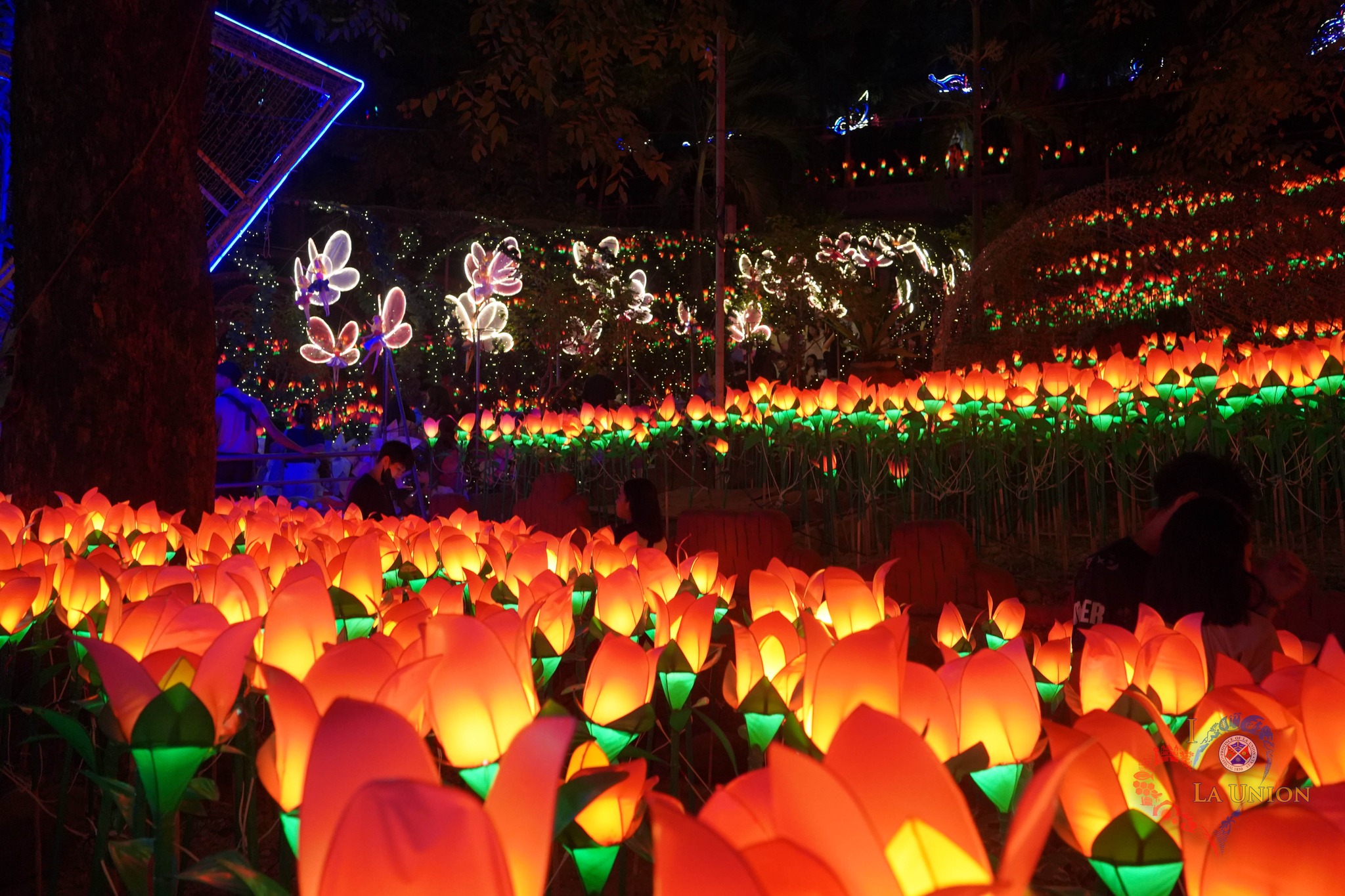 The magical Christmas decors along the Provincial Capitol Grounds at San Fernando, La Union